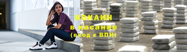 индика Балабаново