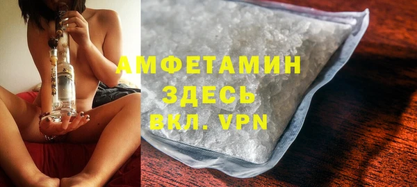 индика Балабаново