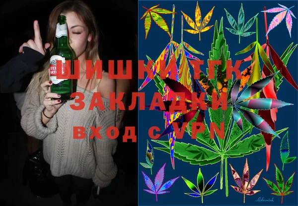 индика Балабаново