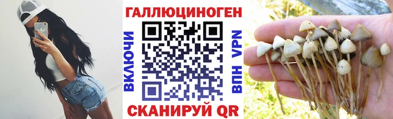 Галлюциногенные грибы ЛСД  хочу наркоту  Барабинск 